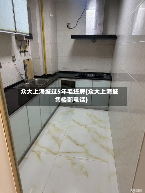 众大上海城过5年毛坯房(众大上海城售楼部电话)-第3张图片