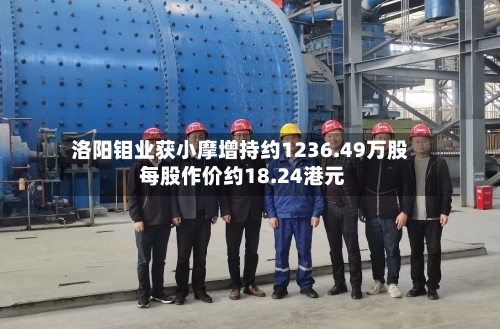 洛阳钼业获小摩增持约1236.49万股 每股作价约18.24港元-第2张图片