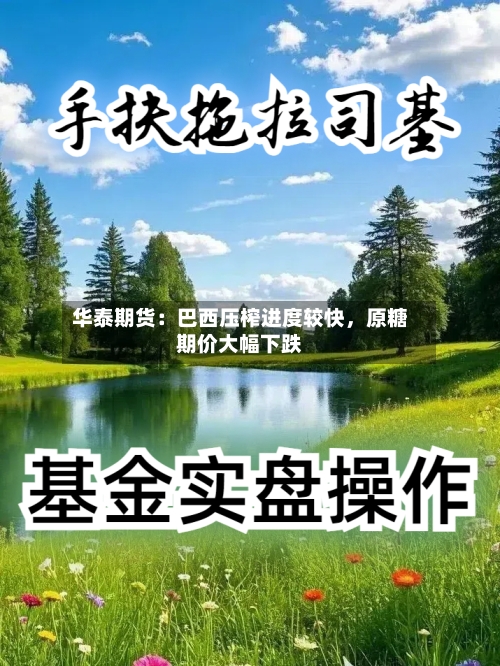 华泰期货：巴西压榨进度较快，原糖期价大幅下跌-第3张图片
