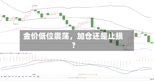 金价低位震荡，加仓还是止损？-第2张图片