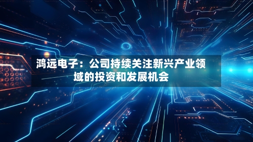 鸿远电子：公司持续关注新兴产业领域的投资和发展机会