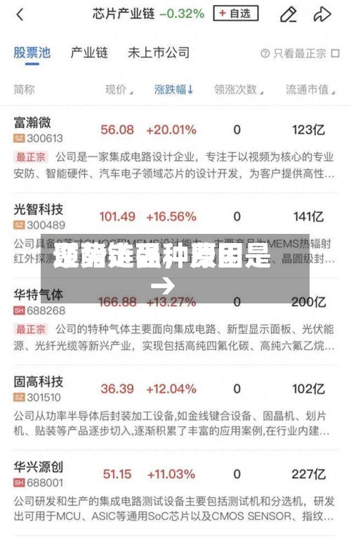 聚酯链品种费用逆势走强，原因是→