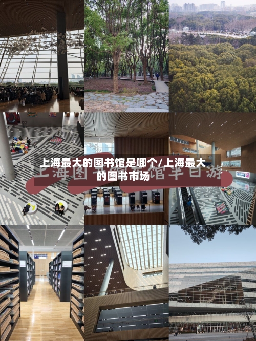 上海最大的图书馆是哪个/上海最大的图书市场-第2张图片