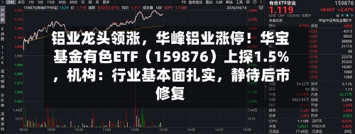 铝业龙头领涨，华峰铝业涨停！华宝基金有色ETF（159876）上探1.5%	，机构：行业基本面扎实，静待后市修复-第2张图片