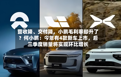 营收降、交付降，小鹏毛利率却升了？何小鹏：今年有4款新车上市	，后三季度销量将实现环比增长-第2张图片