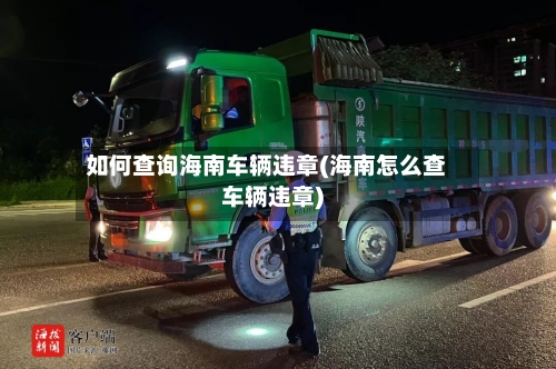 如何查询海南车辆违章(海南怎么查车辆违章)