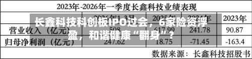 长鑫科技科创板IPO过会，6家险资浮盈，和谐健康“翻身	”？-第3张图片