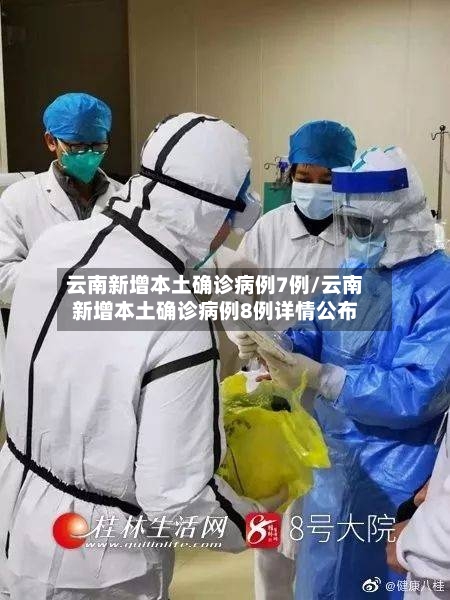 云南新增本土确诊病例7例/云南新增本土确诊病例8例详情公布-第2张图片