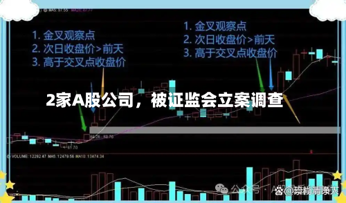 2家A股公司，被证监会立案调查-第3张图片