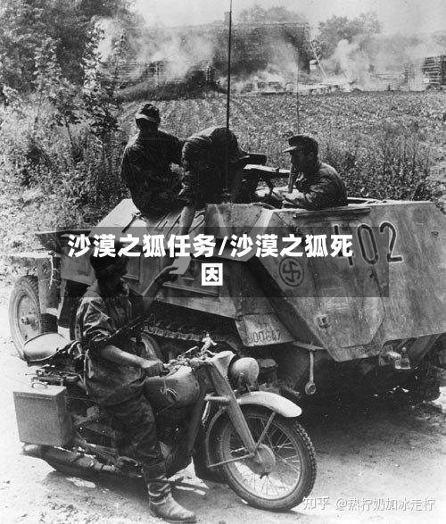 沙漠之狐任务/沙漠之狐死因-第2张图片