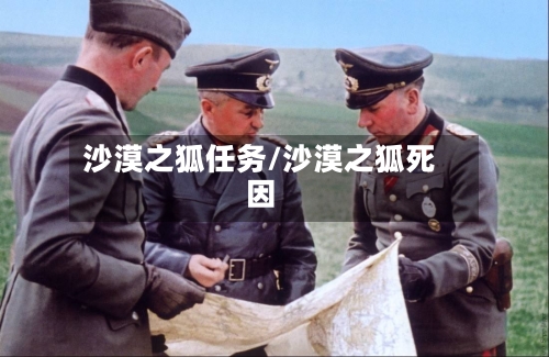 沙漠之狐任务/沙漠之狐死因-第3张图片