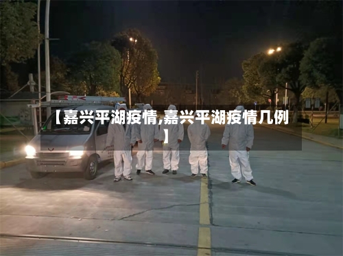 【嘉兴平湖疫情,嘉兴平湖疫情几例】