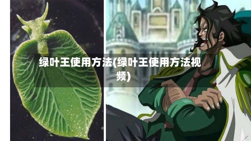 绿叶王使用方法(绿叶王使用方法视频)