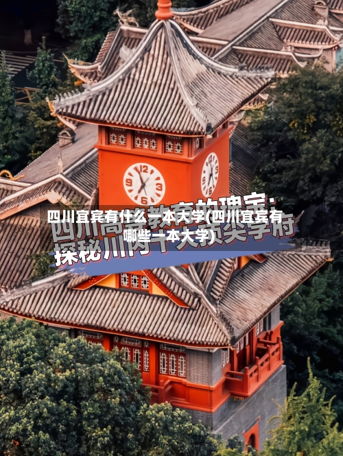 四川宜宾有什么一本大学(四川宜宾有哪些一本大学)