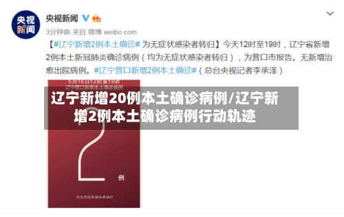 辽宁新增20例本土确诊病例/辽宁新增2例本土确诊病例行动轨迹-第2张图片
