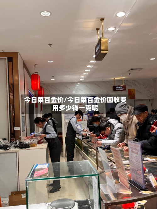 今日菜百金价/今日菜百金价回收费用多少钱一克呢-第2张图片