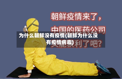 为什么朝鲜没有疫情(朝鲜为什么没有疫情病毒)-第3张图片