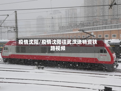 疫情沈阳/疫情沈阳往武汉送物资铁路视频
