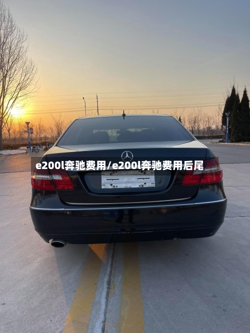 e200l奔驰费用/e200l奔驰费用后尾