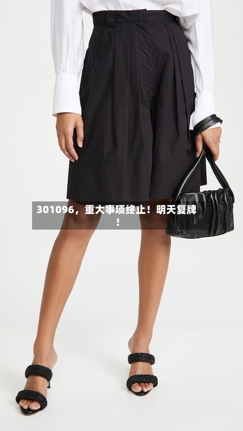 301096	，重大事项终止！明天复牌！-第3张图片