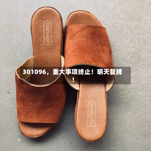301096，重大事项终止！明天复牌！-第2张图片