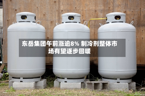 东岳集团午前涨逾8% 制冷剂整体市场有望逐步回暖