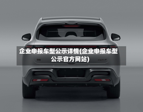 企业申报车型公示详情(企业申报车型公示官方网站)
