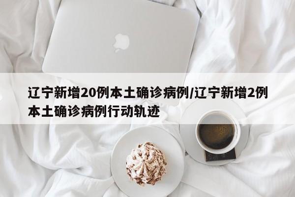 辽宁新增20例本土确诊病例/辽宁新增2例本土确诊病例行动轨迹
