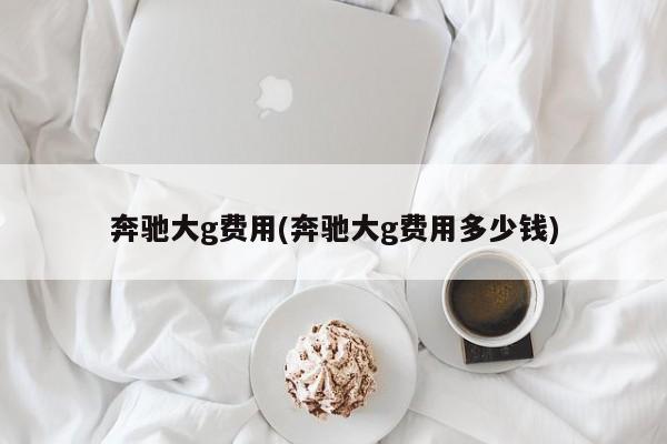 奔驰大g费用(奔驰大g费用多少钱)